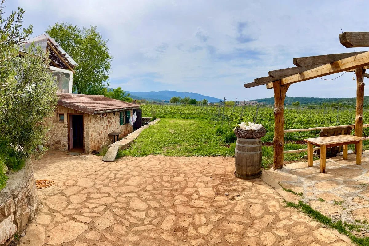 A beautiful view of a winery complete with a wooden barrel, trees, a wooden table and pergula, stone flooring and a stone shed in front of a grassy vineyard and mountain in the background.