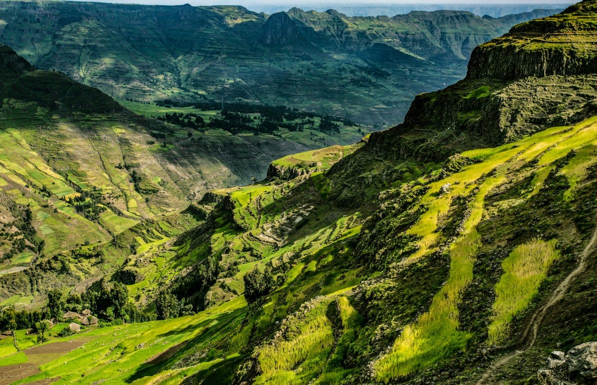 The Ethiopian Highlands, a green stepped valley landscape.