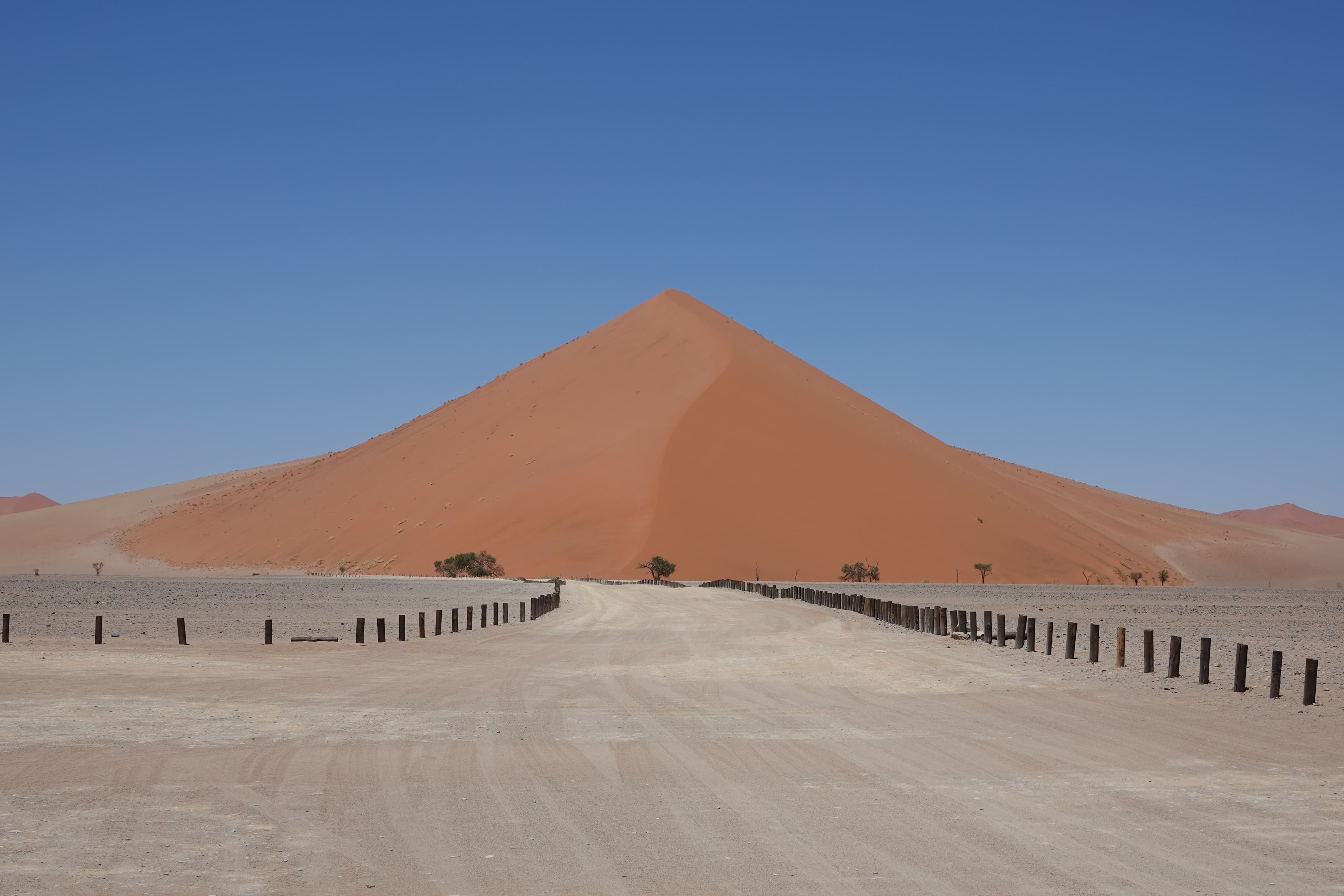 A beautiful view of Sossusvlei