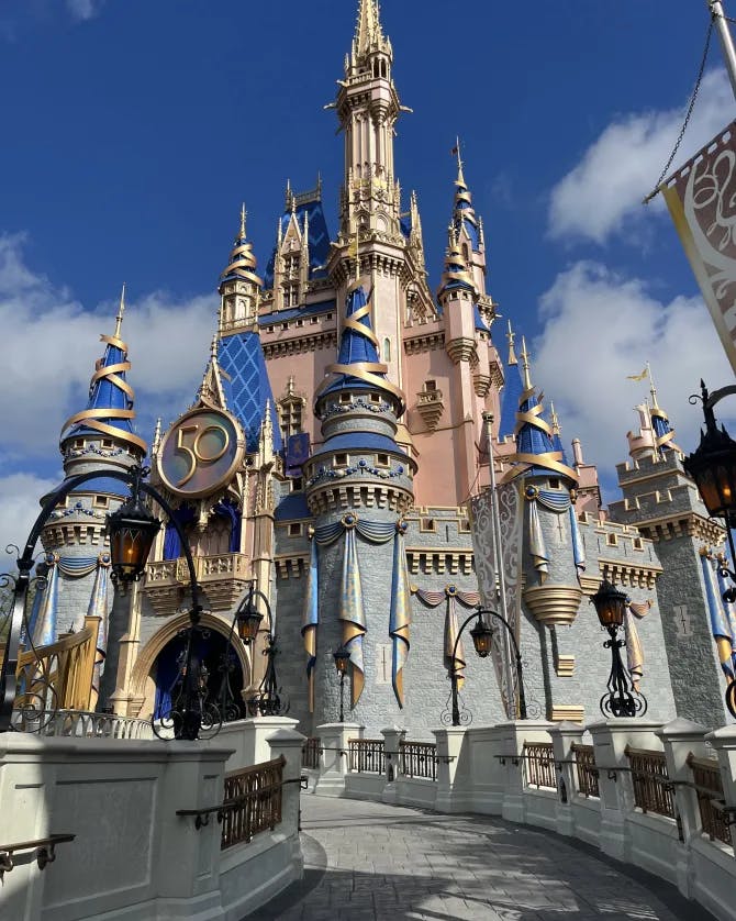 Disney land castle