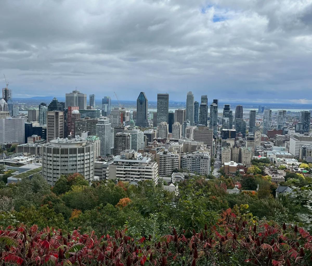 An aerial view of the city with tall buildings surrounded by trees with green and red leaves.