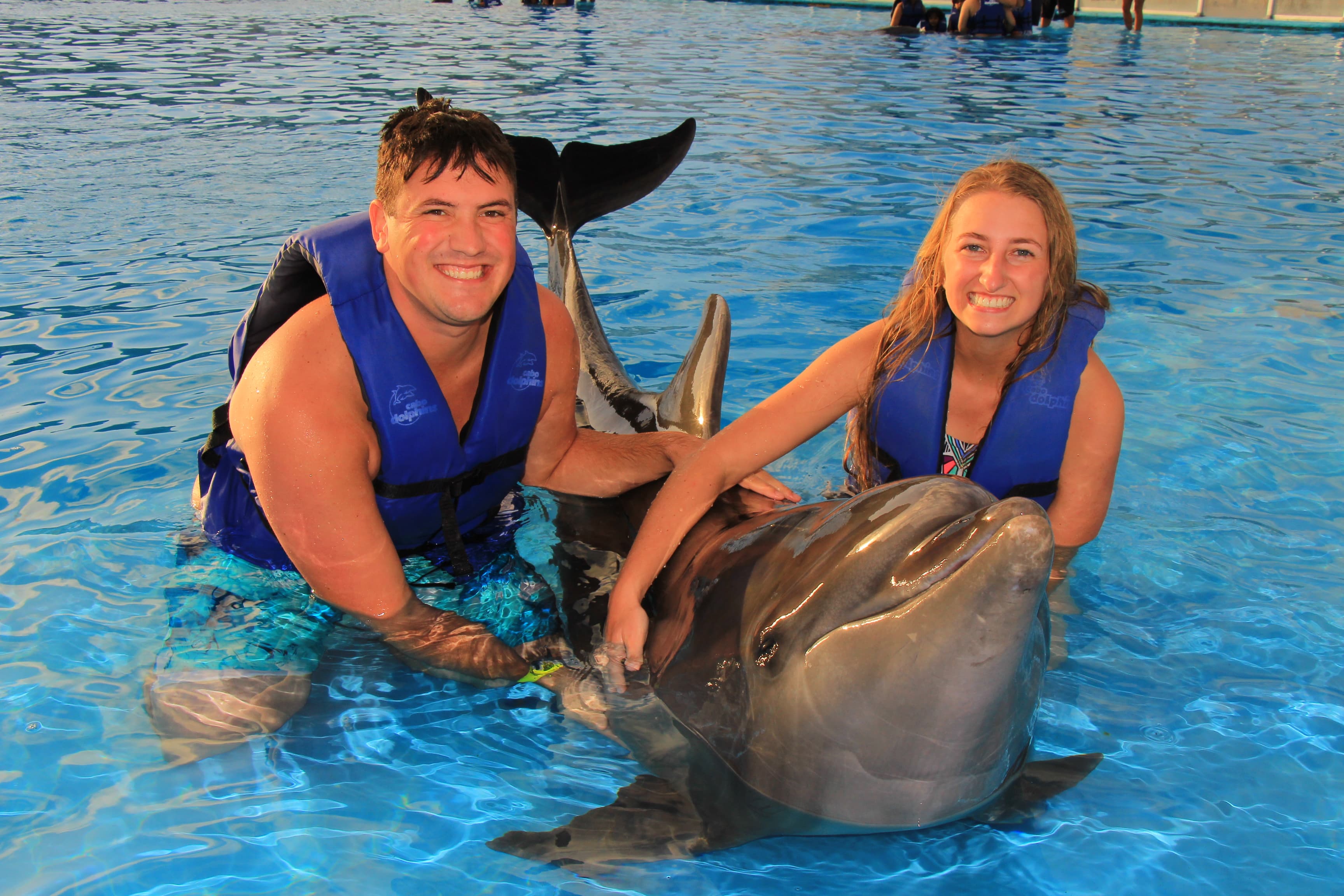 Swimming with a dolphin