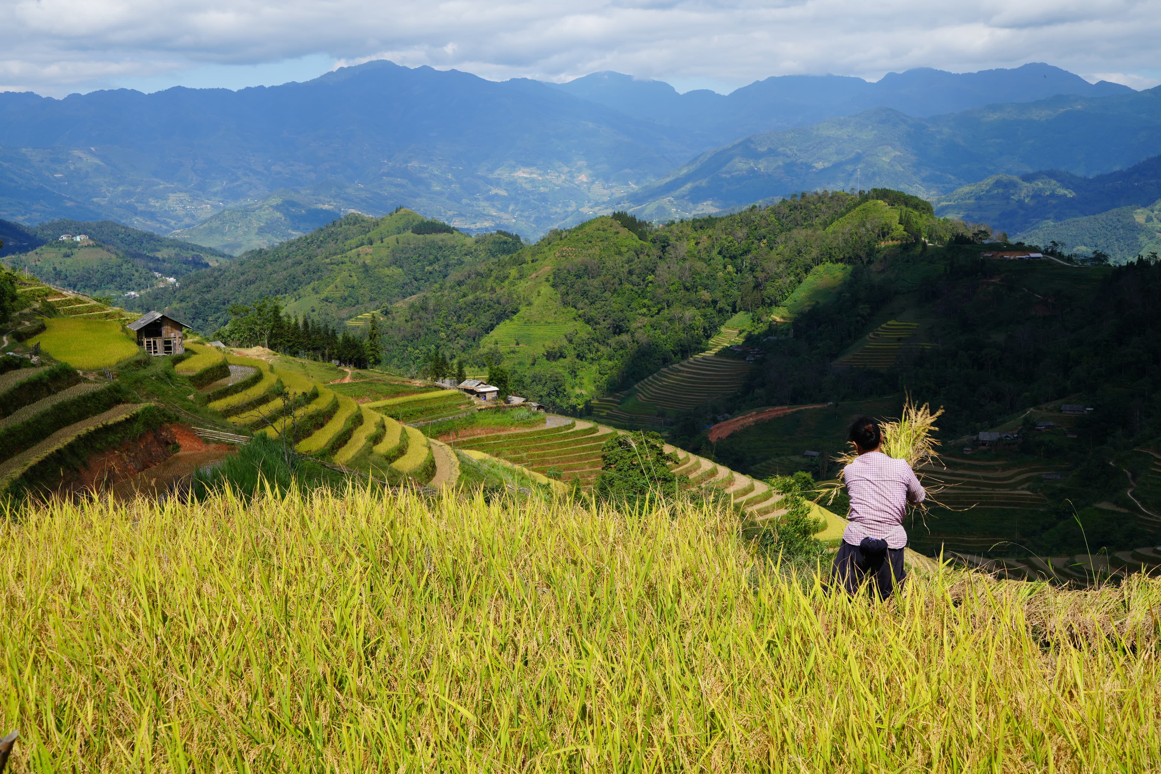 A green countryside picture and mountains under blue sky