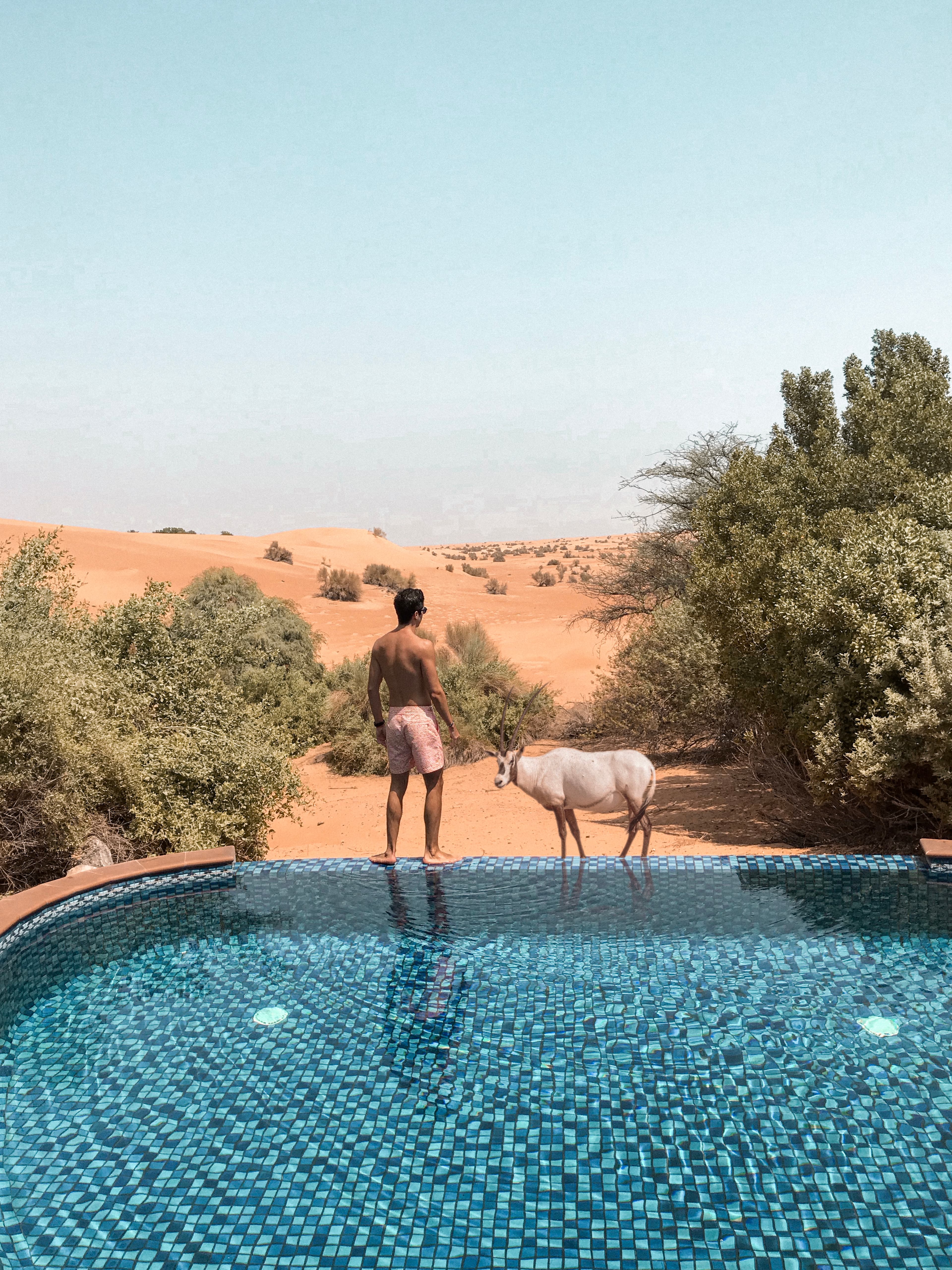 Travel advisor posing