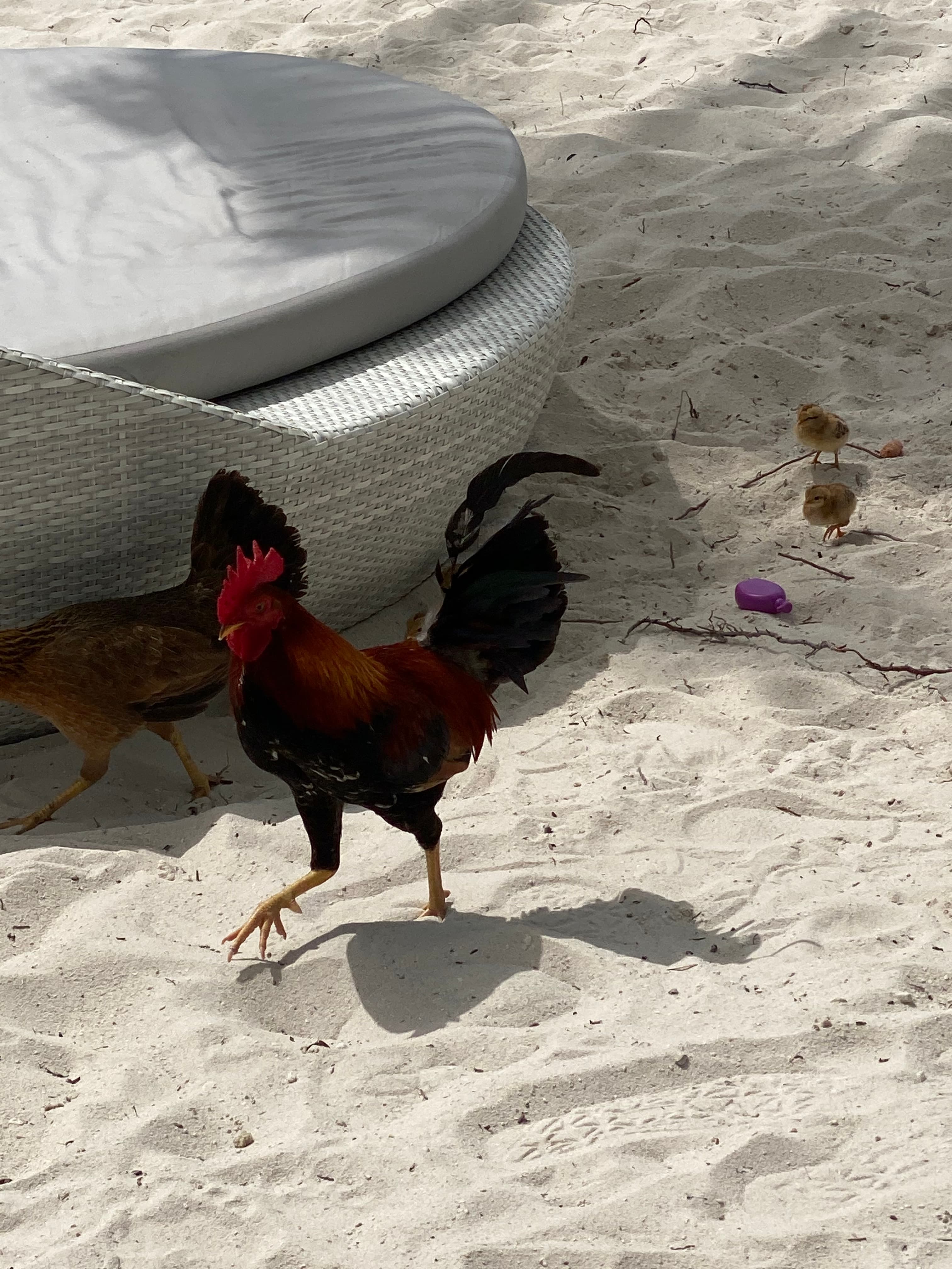 Travel photo 10
