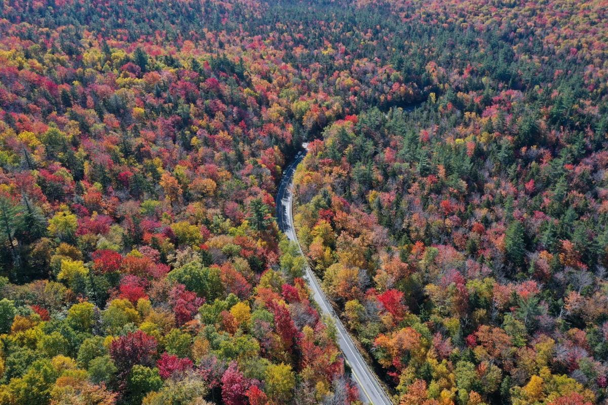 Aerial view of Vermont fall foliage with a road cutting through. 