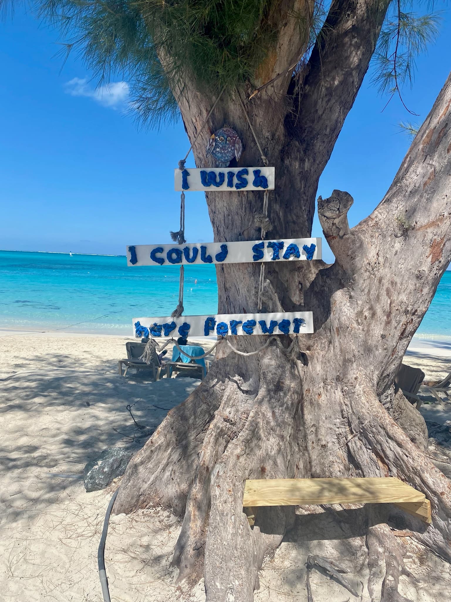 View of wish tree beside beach
