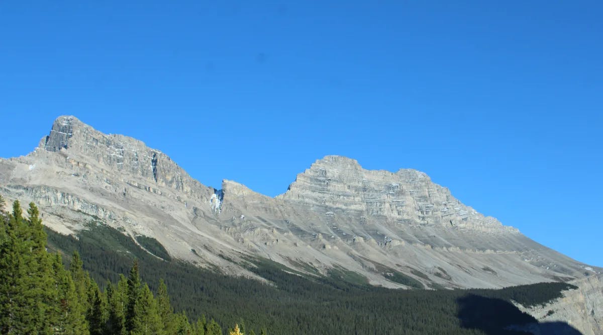 A rocky mountain with some trees in the front. 