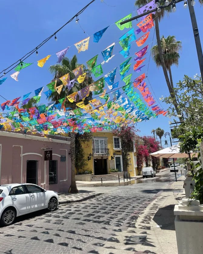 A decorated street of San Jose del Cabo