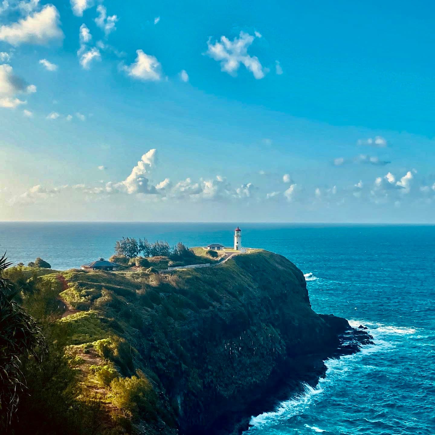 Picture of Kilauea Point National Wildlife Refuge with the blue ocean in the background