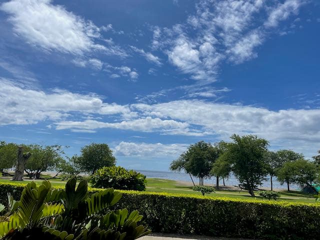 Blue skies and green palm trees.