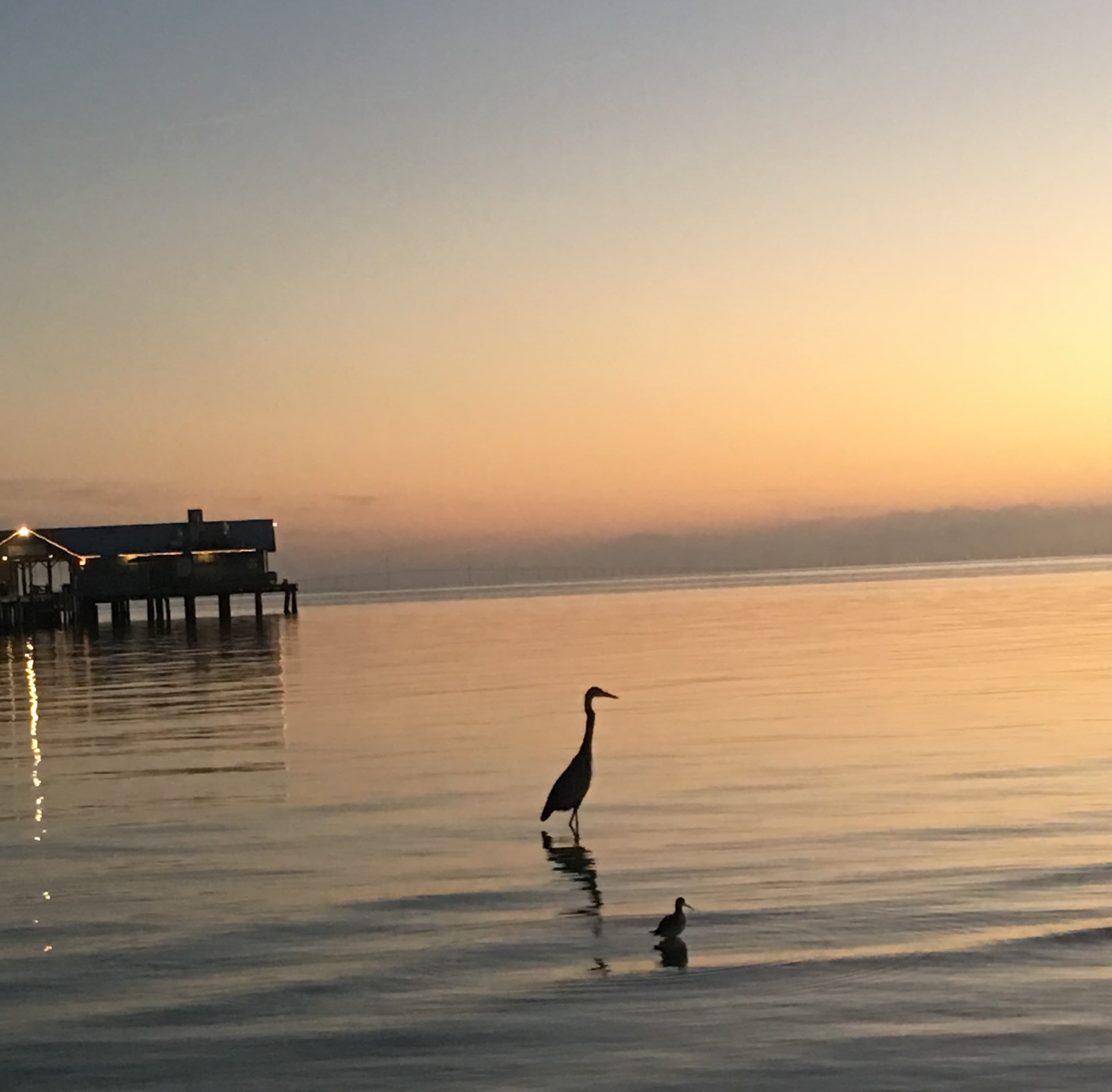 Beautiful view at sunset