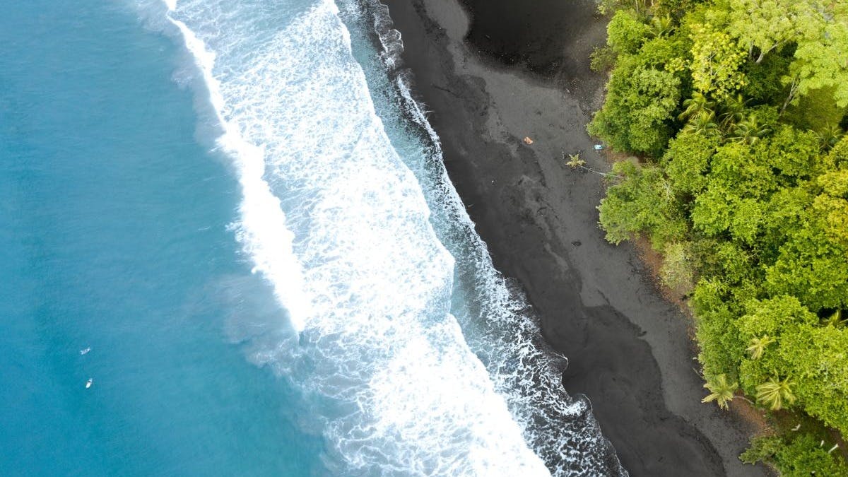 Black sand beach by a body of water and green forest