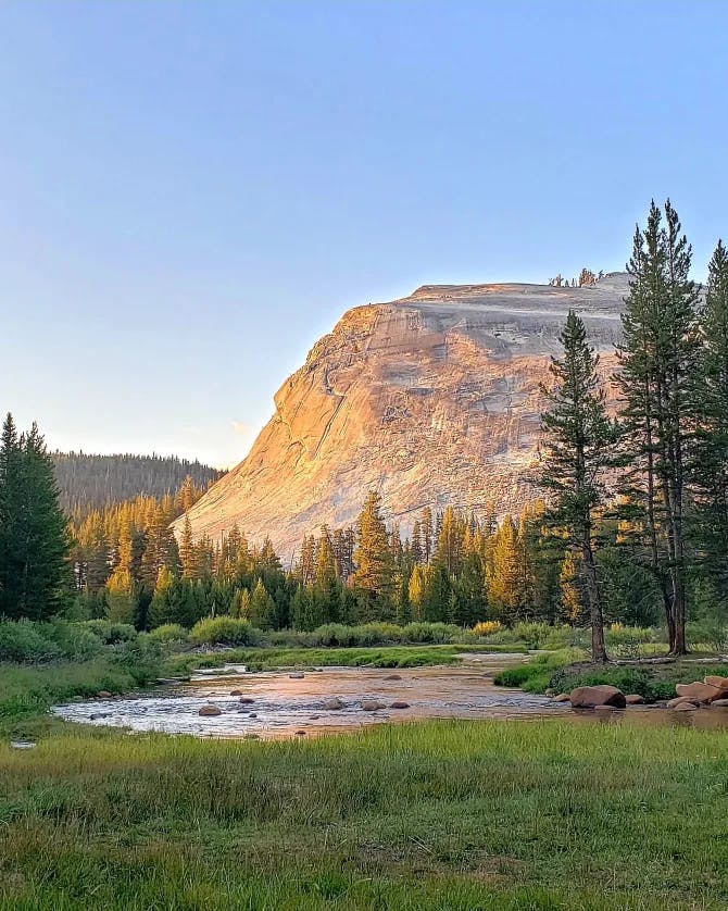 Beautiful view of Tuolumne Meadows with a mountain range and pine trees in the distance