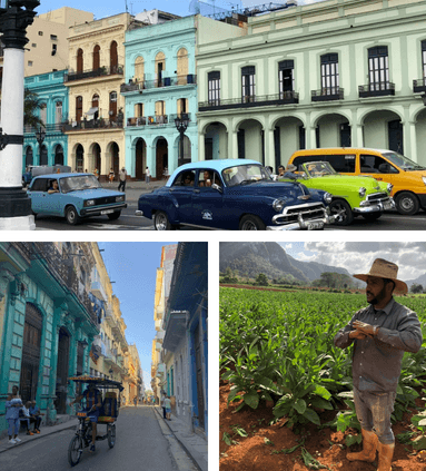 Photos of cars, cart and fields