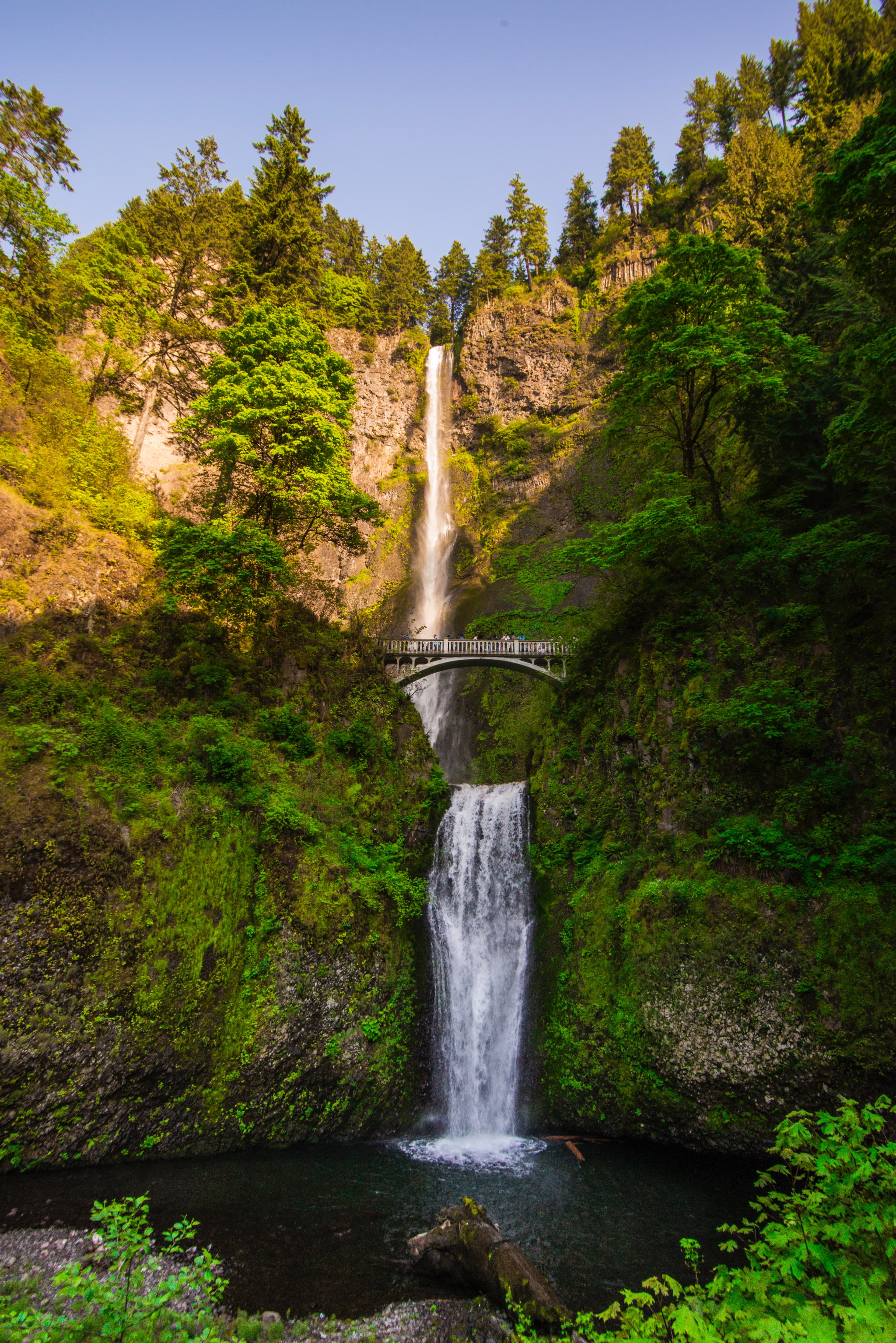 Advisor - Oregon’s Best-Kept Secret: Columbia River Gorge