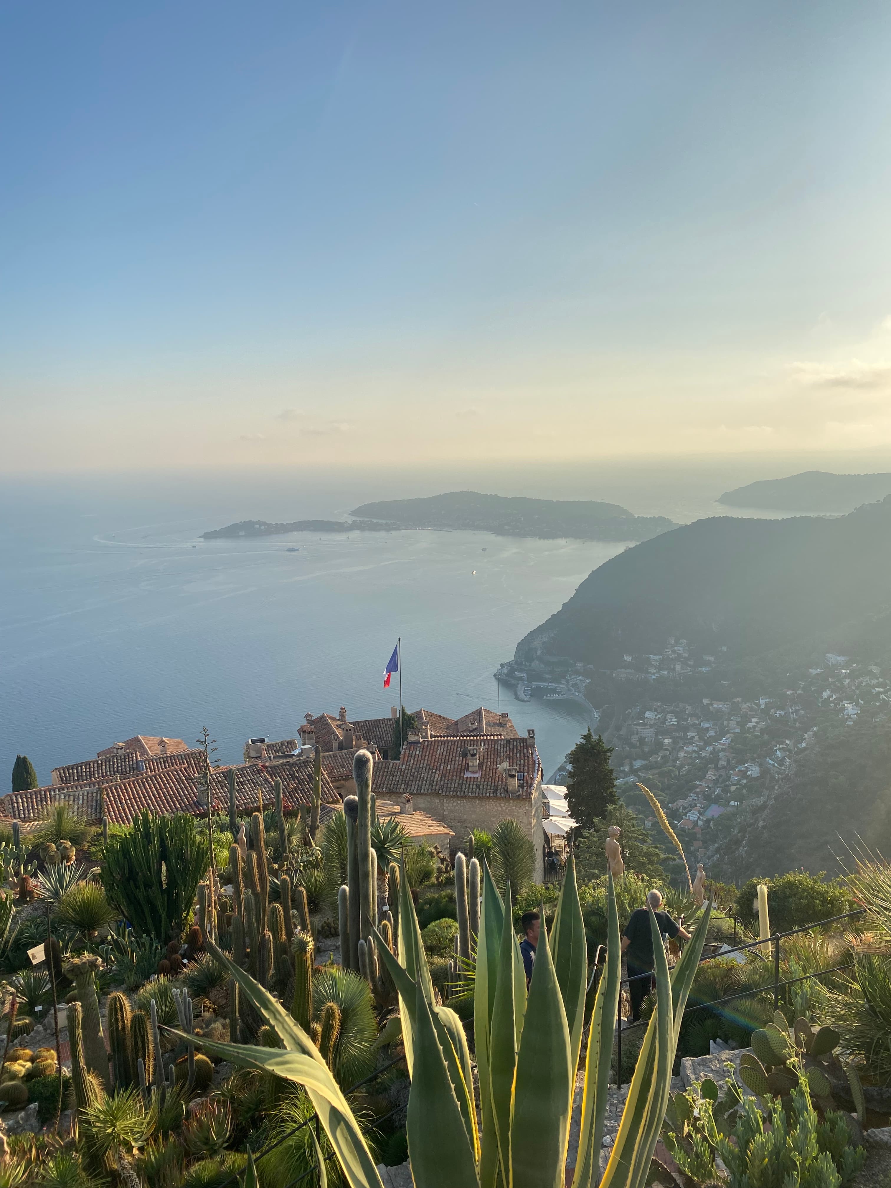 A beautiful view of Le Jardin Exotique with mountains, a city, green plants and the blue sea in the background.
