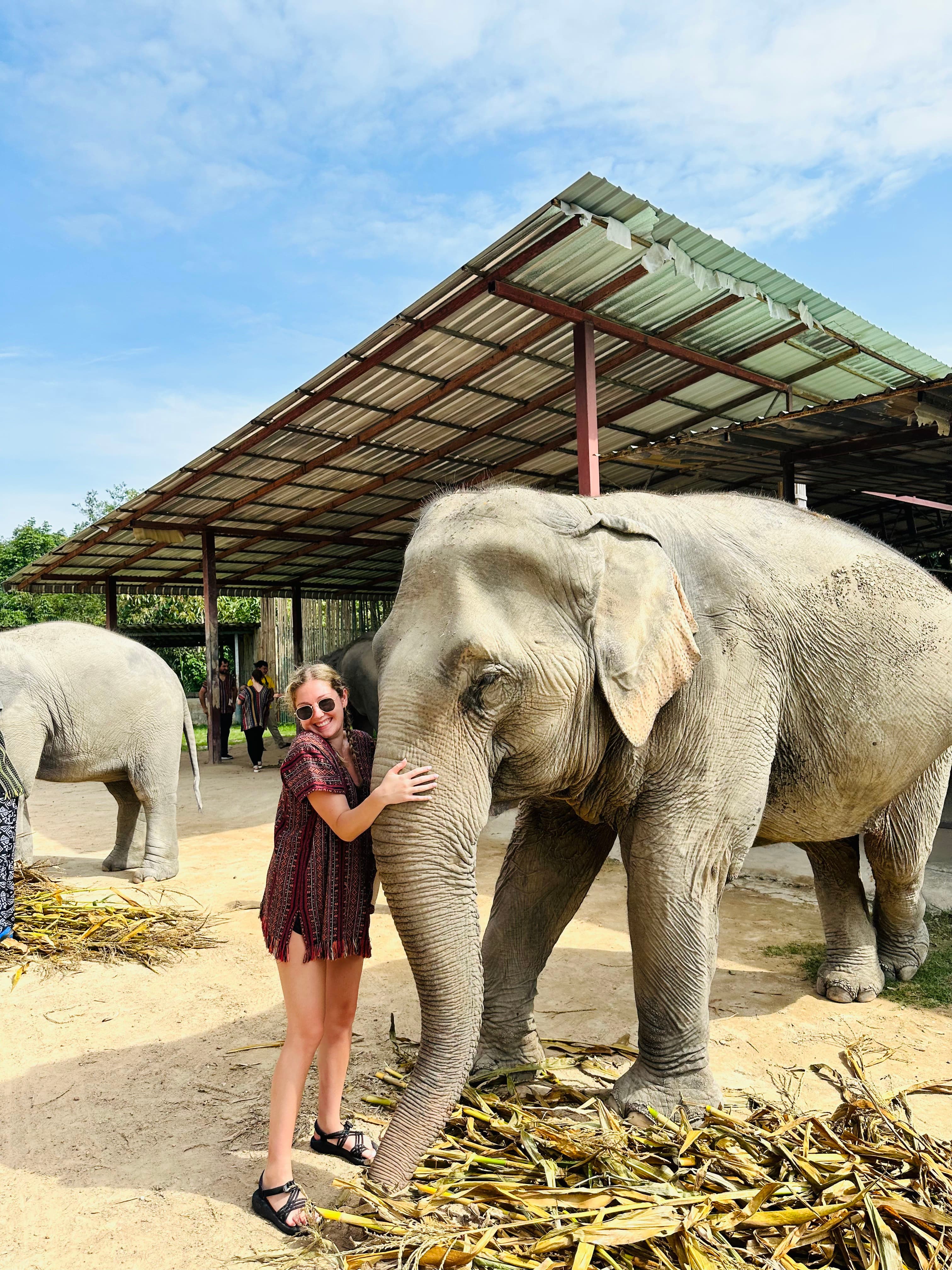 mary with an elephant