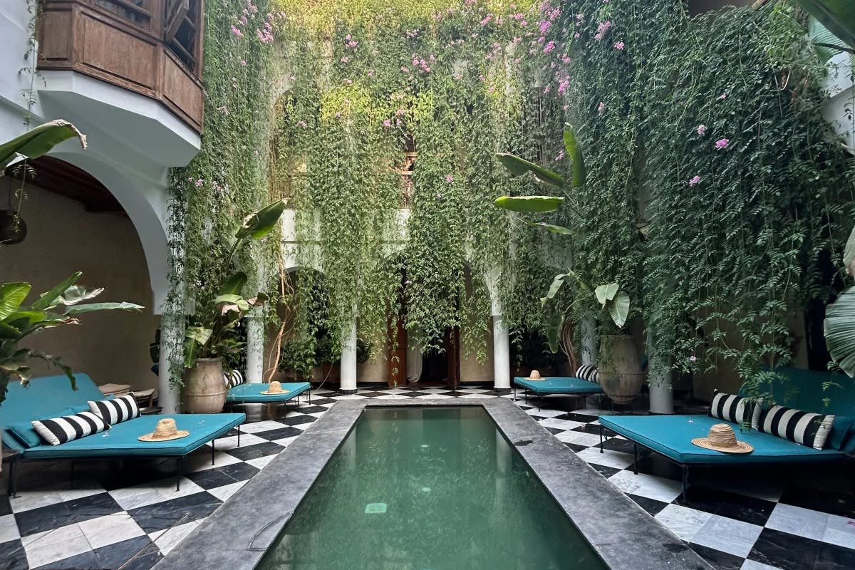 Poolside of a beautiful hotel covered with plants