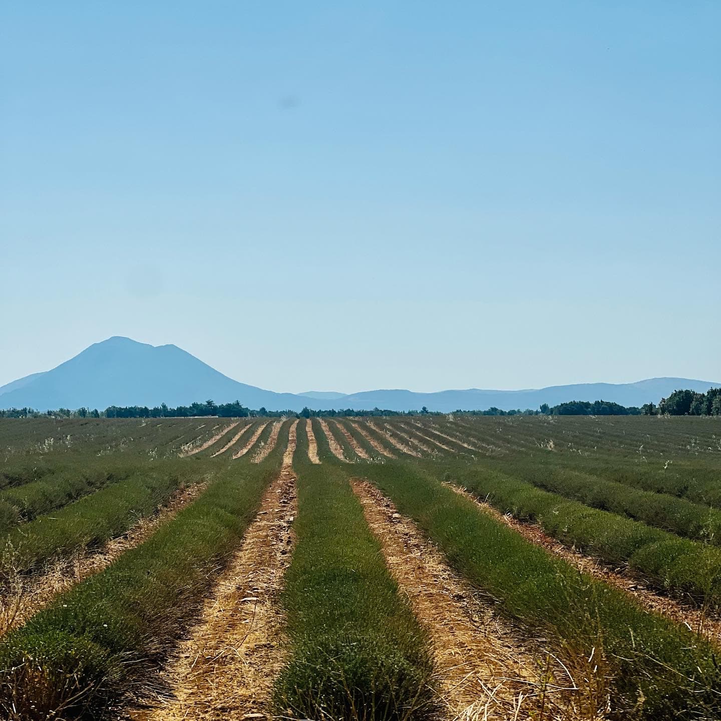 An aerial view of a farm