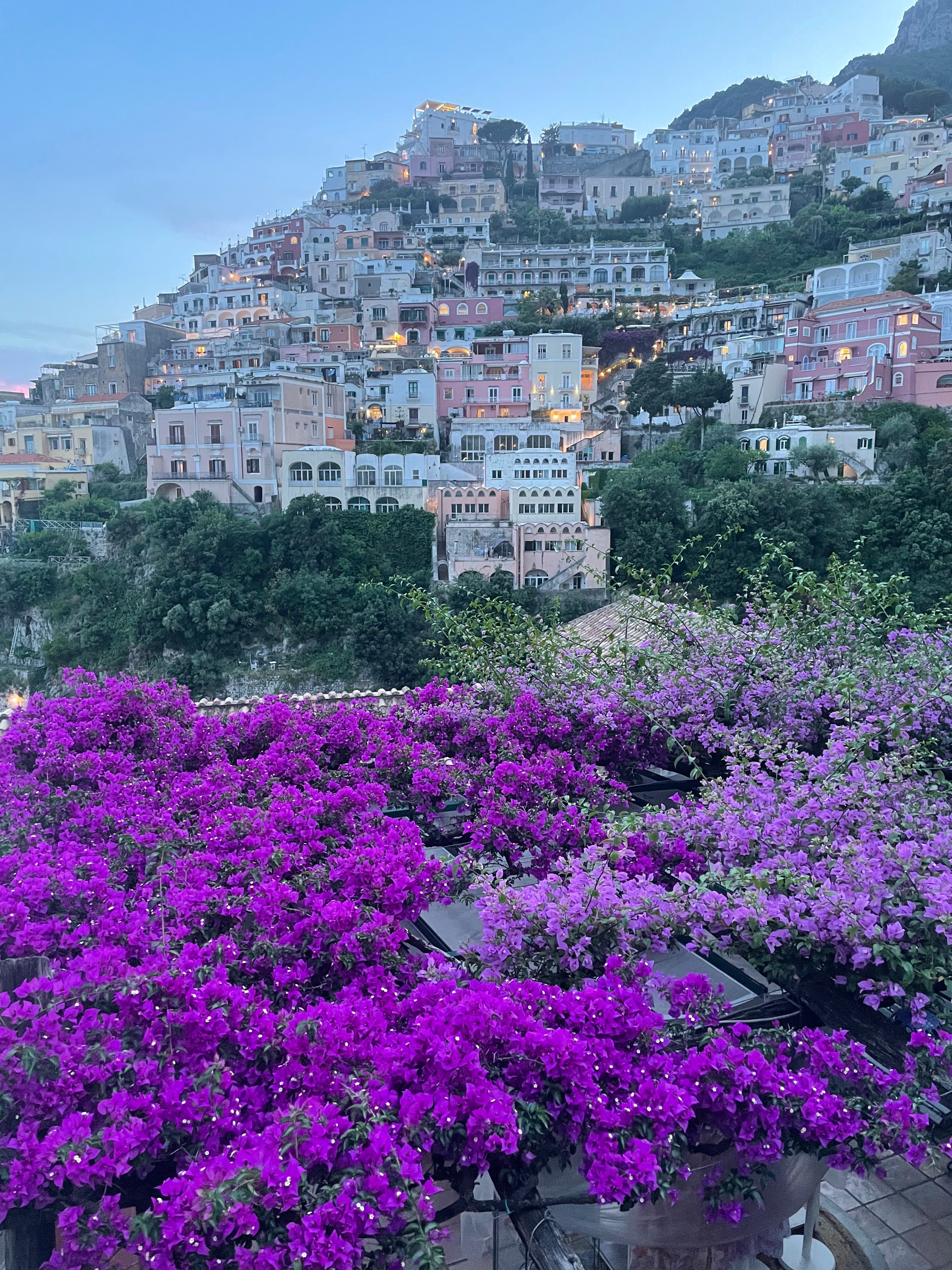 purple flower field in front of a cliff-side town covered with white buildings