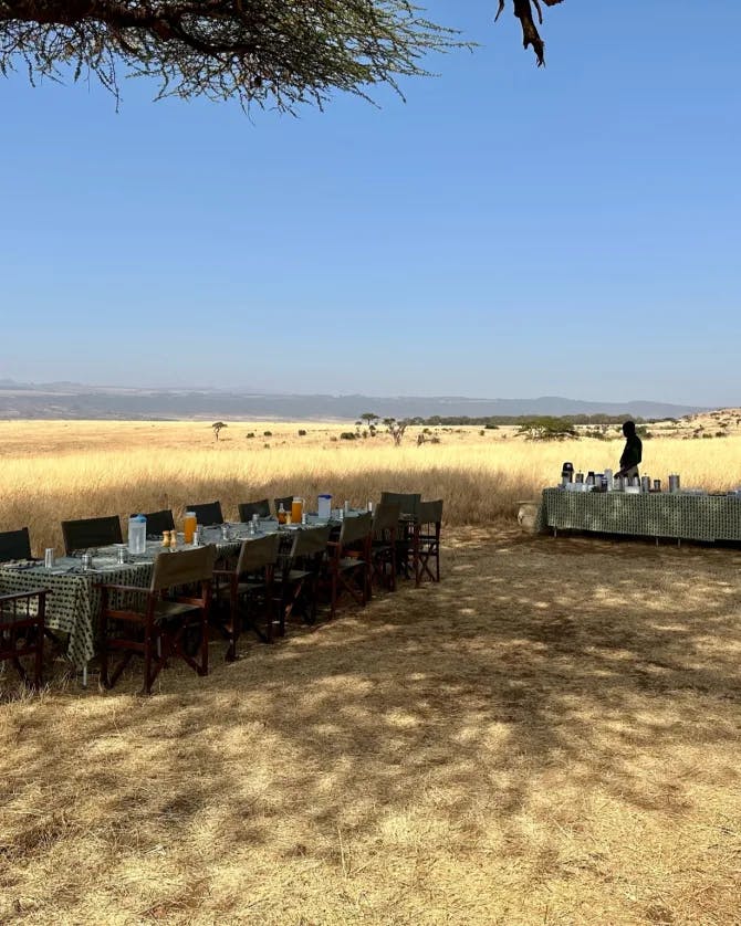 Picture of dinning table in a safari setting