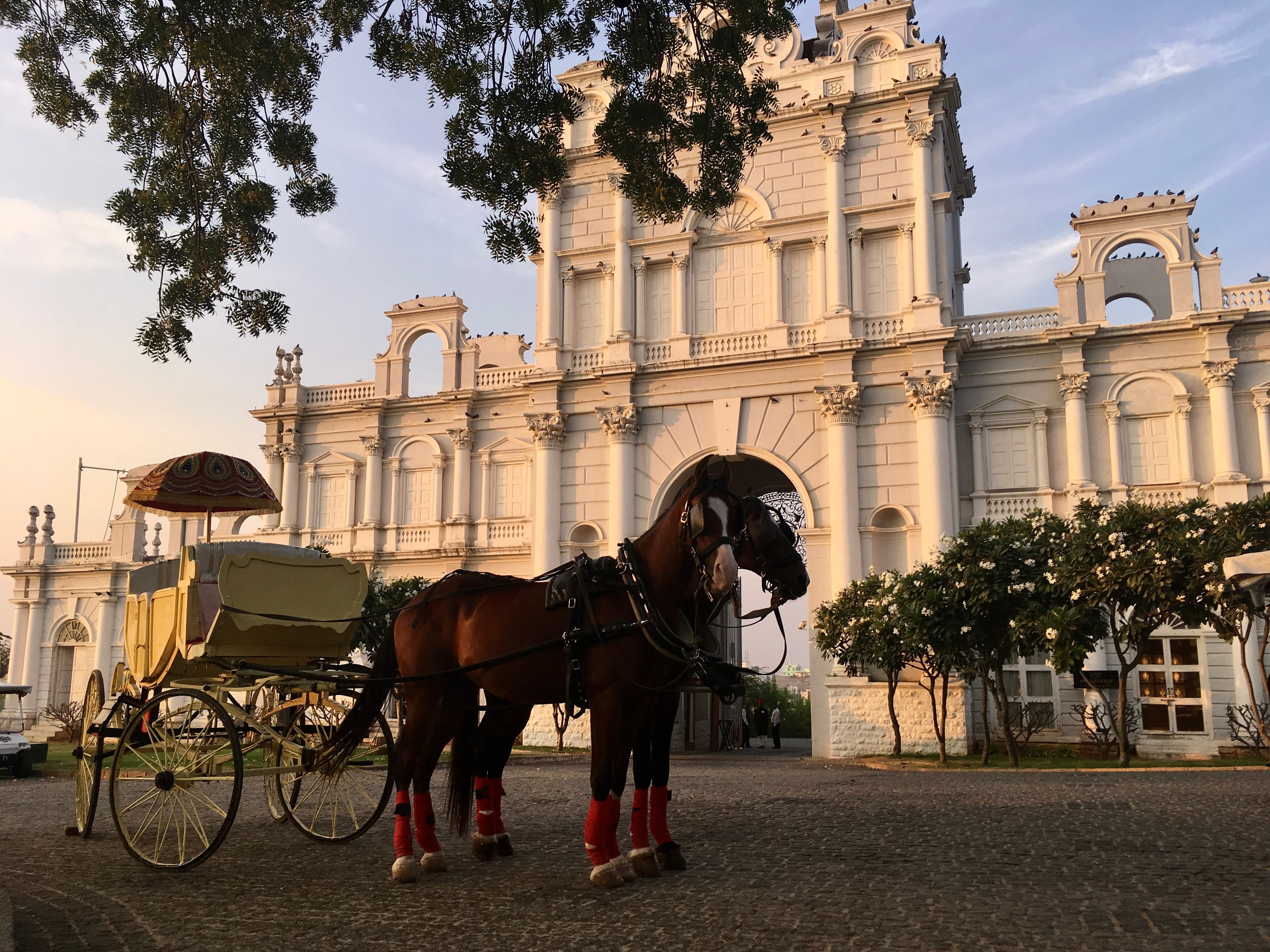 View of a building and horse cart
