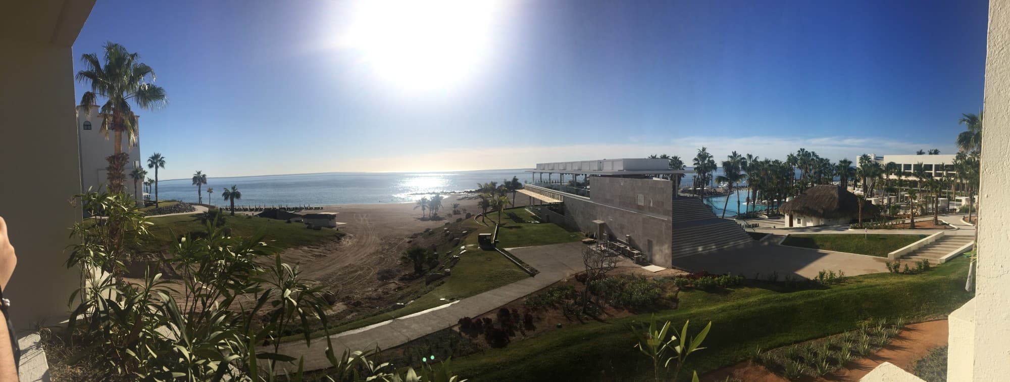 sunny day beach and palm trees