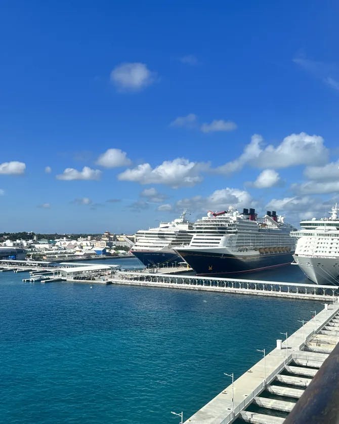 Cruise ships docked at a harbor on a sunny day 