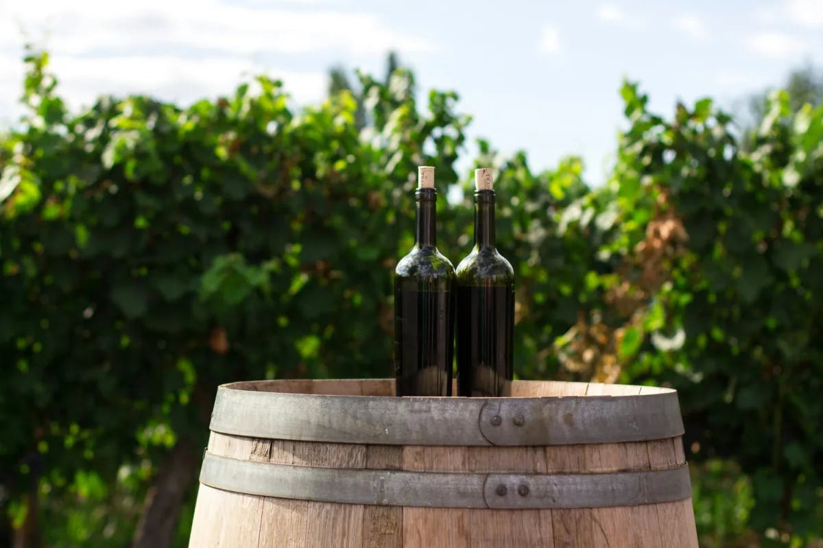 Two wine bottles on a wooden barrel outdoors. 