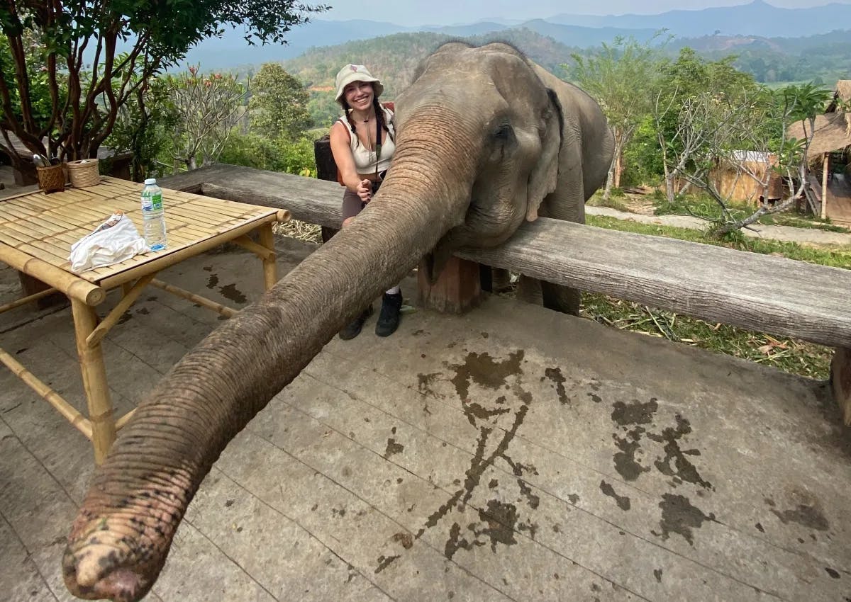 A woman posing next to an elephant outside with a wooden bench. 