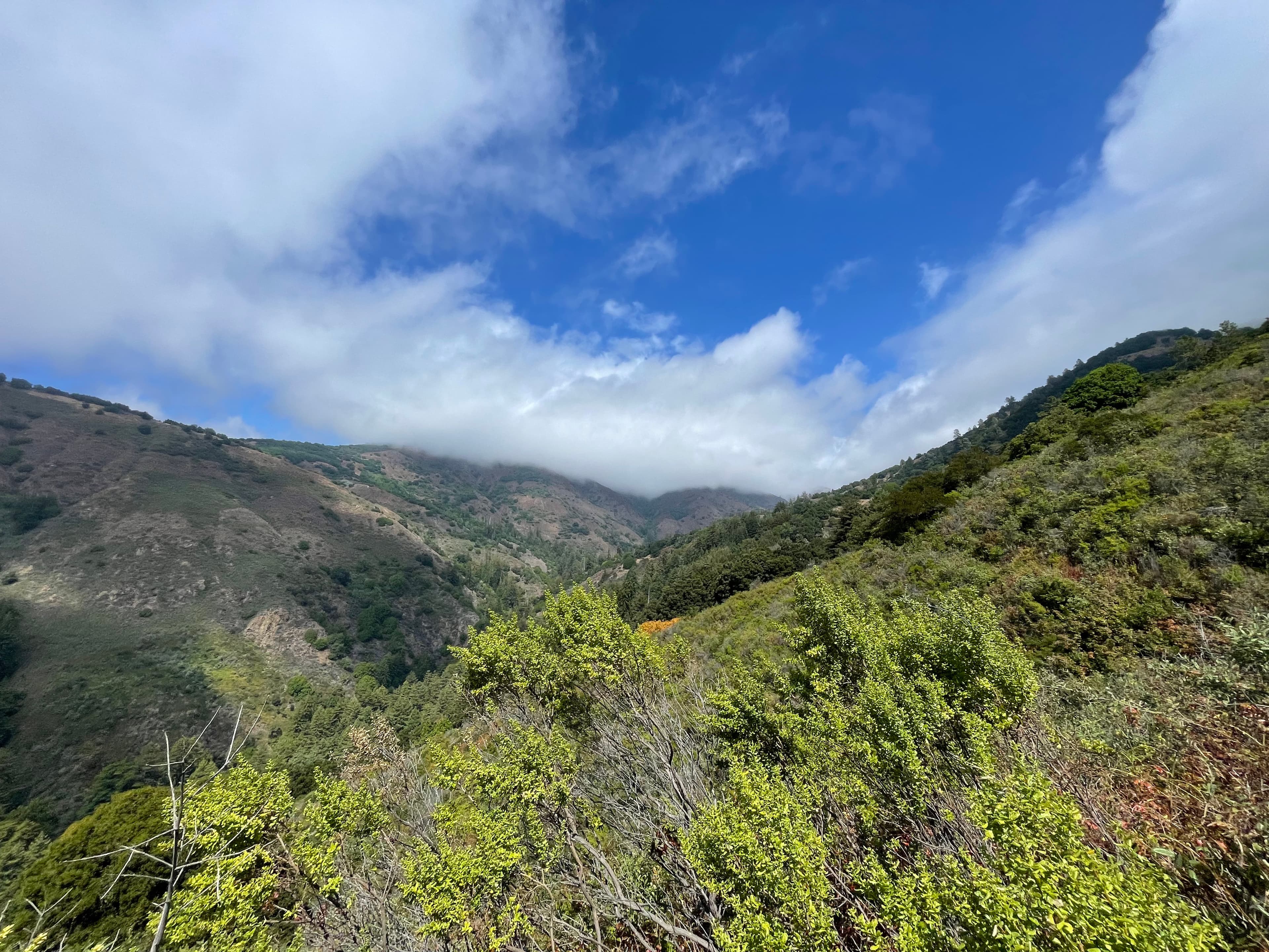 Beautiful scenery of green mountains