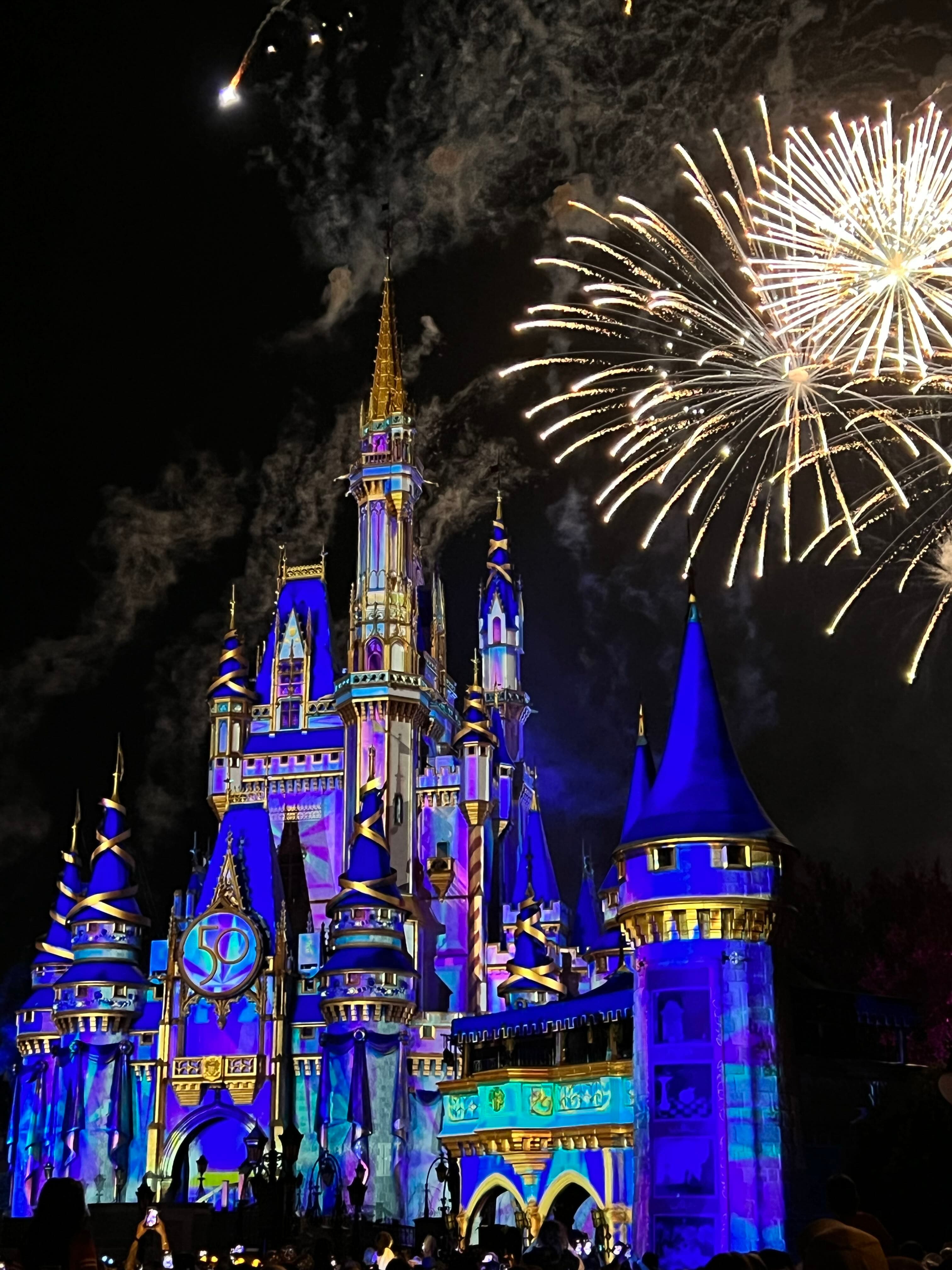 Picture of Disney land