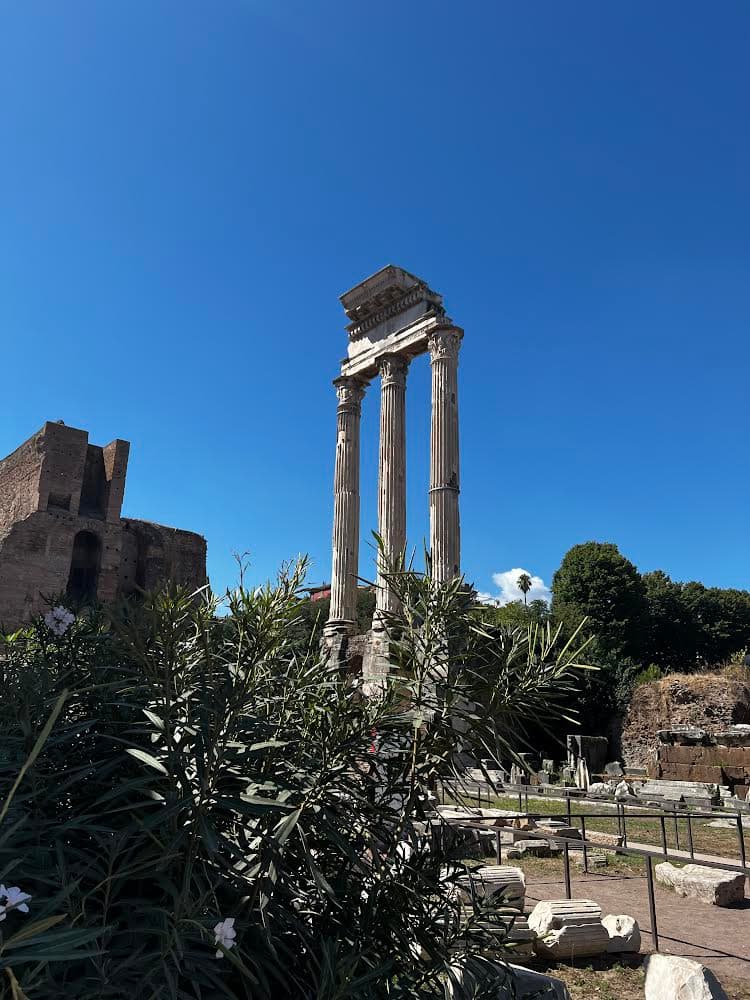 View of Il Tempio dei Dioscuri Ruins
