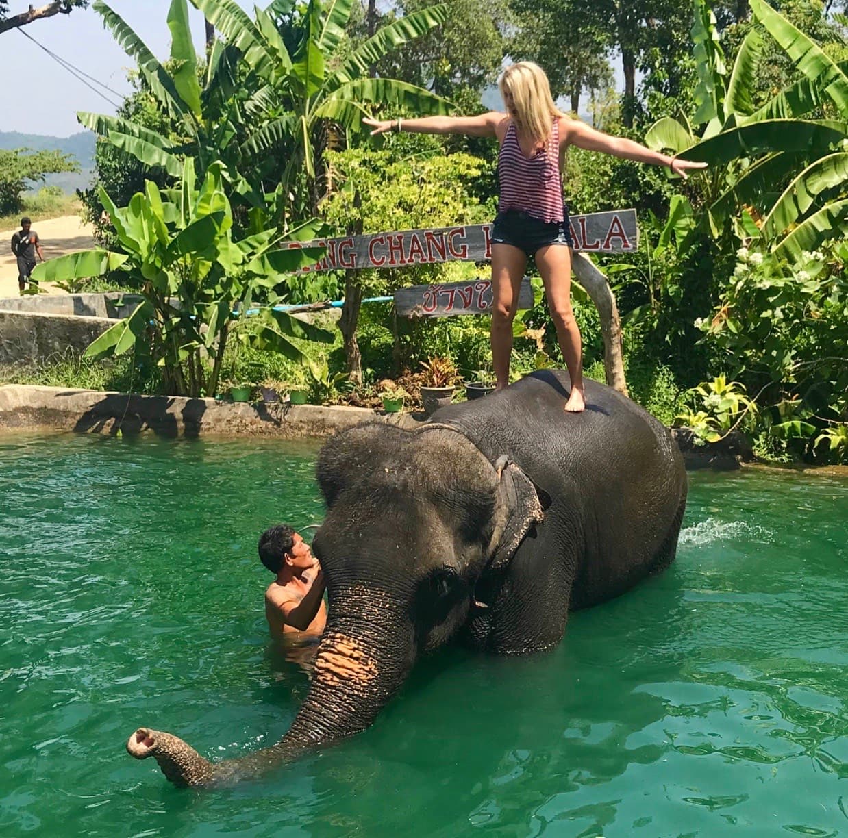 Summer posing on an Elephant