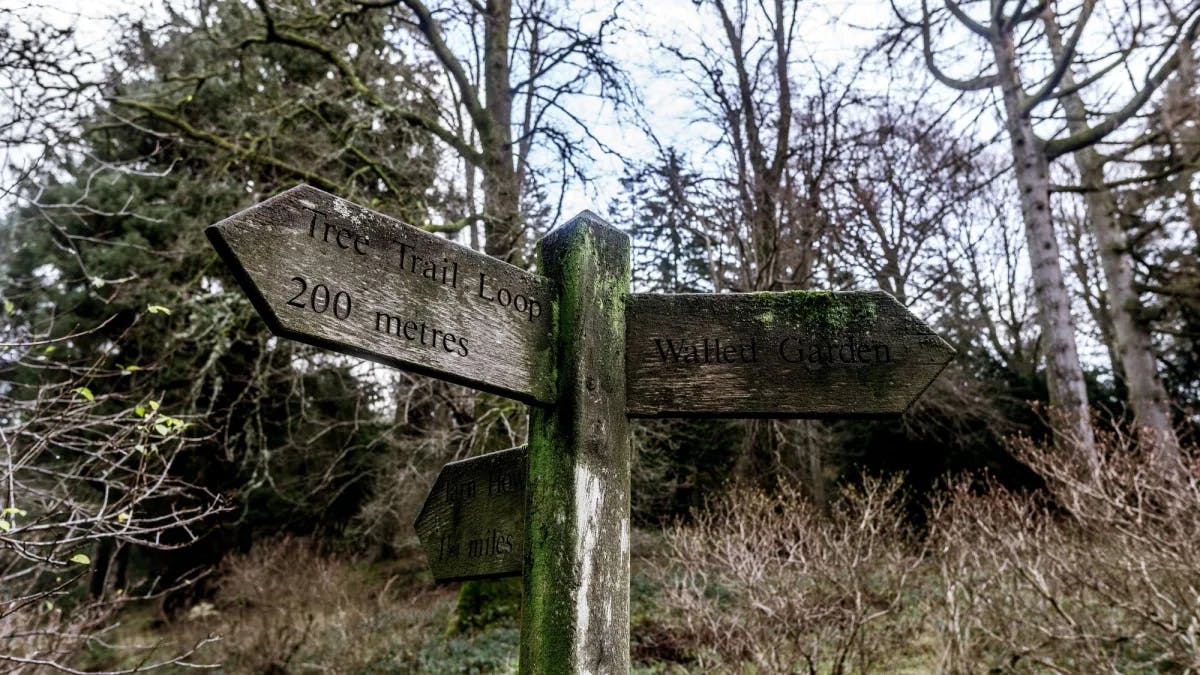Two wooden signs pointing in opposite direction.