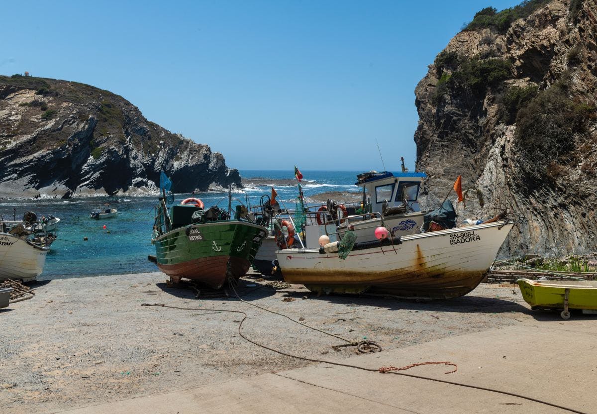 Boats on a beach shore during daytime