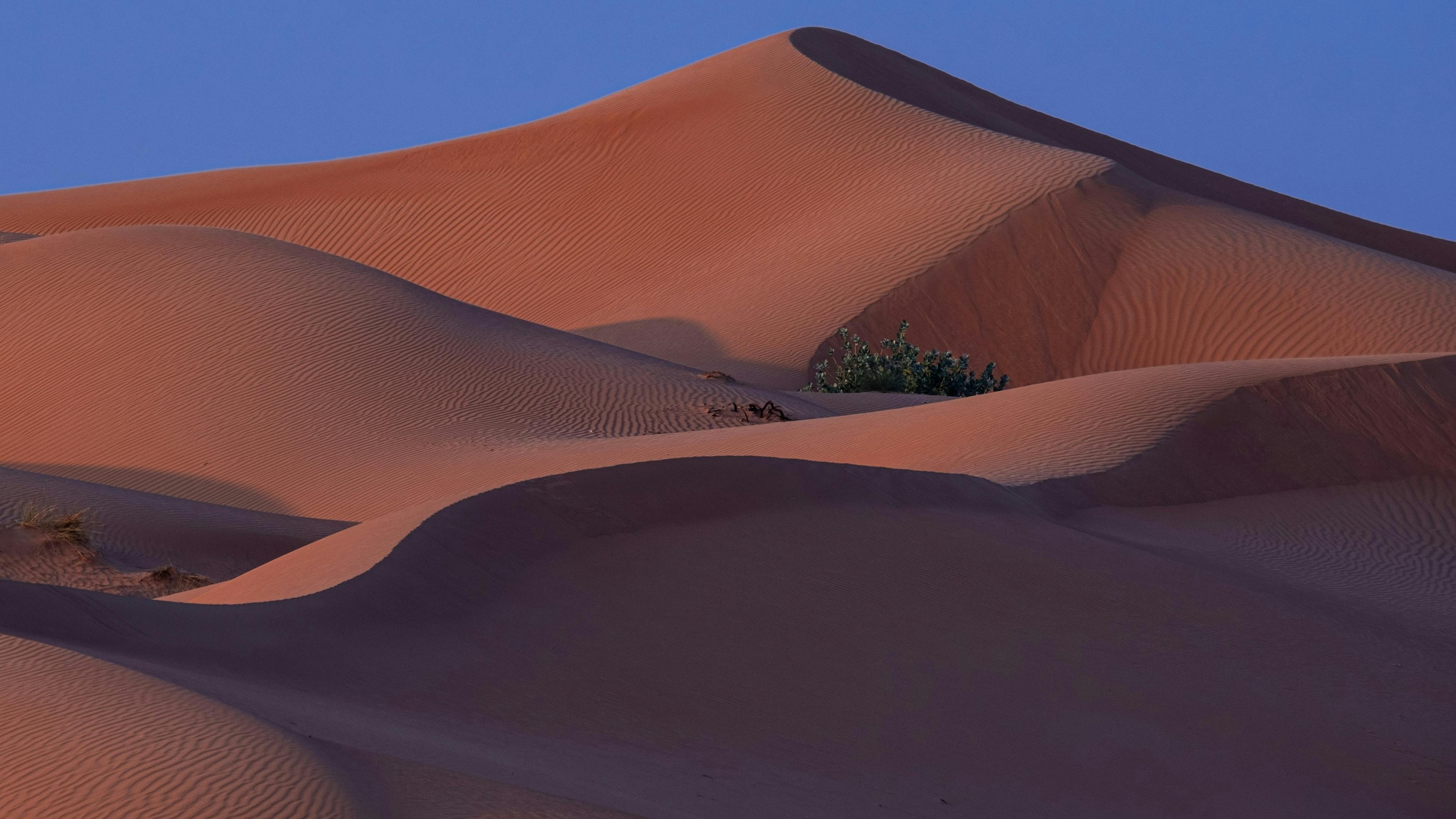 Sand dunes in the desert against a bright blue sky