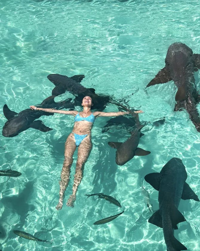 Girl swimming with sharks in blue water.