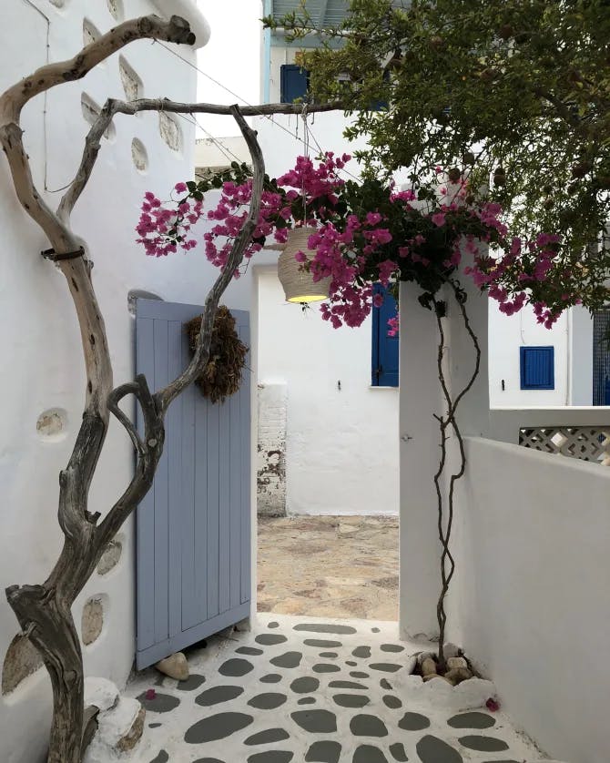 A stone path in Greece leading to a blue doorway with trees and pink flowers surrounding the entry