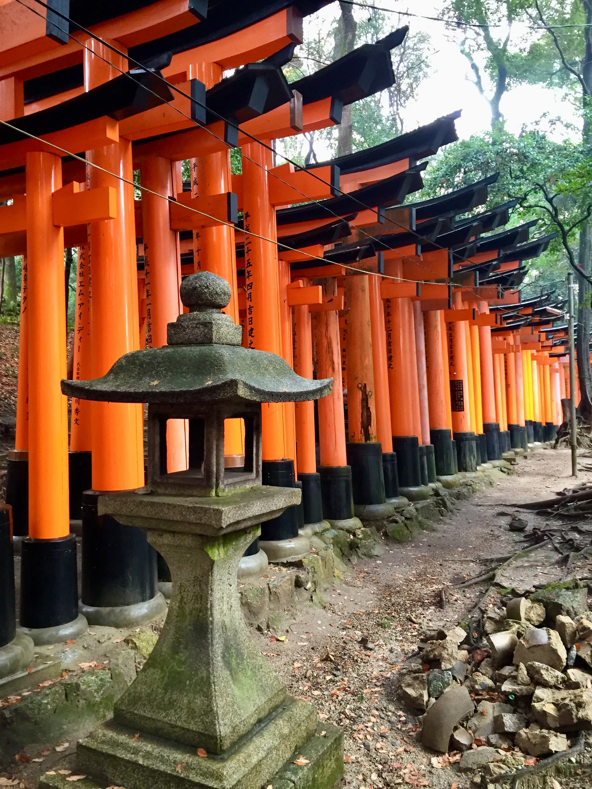 A view of Fushimi Inari Taisha Sembon Torii with rocks and trees surrounding it.