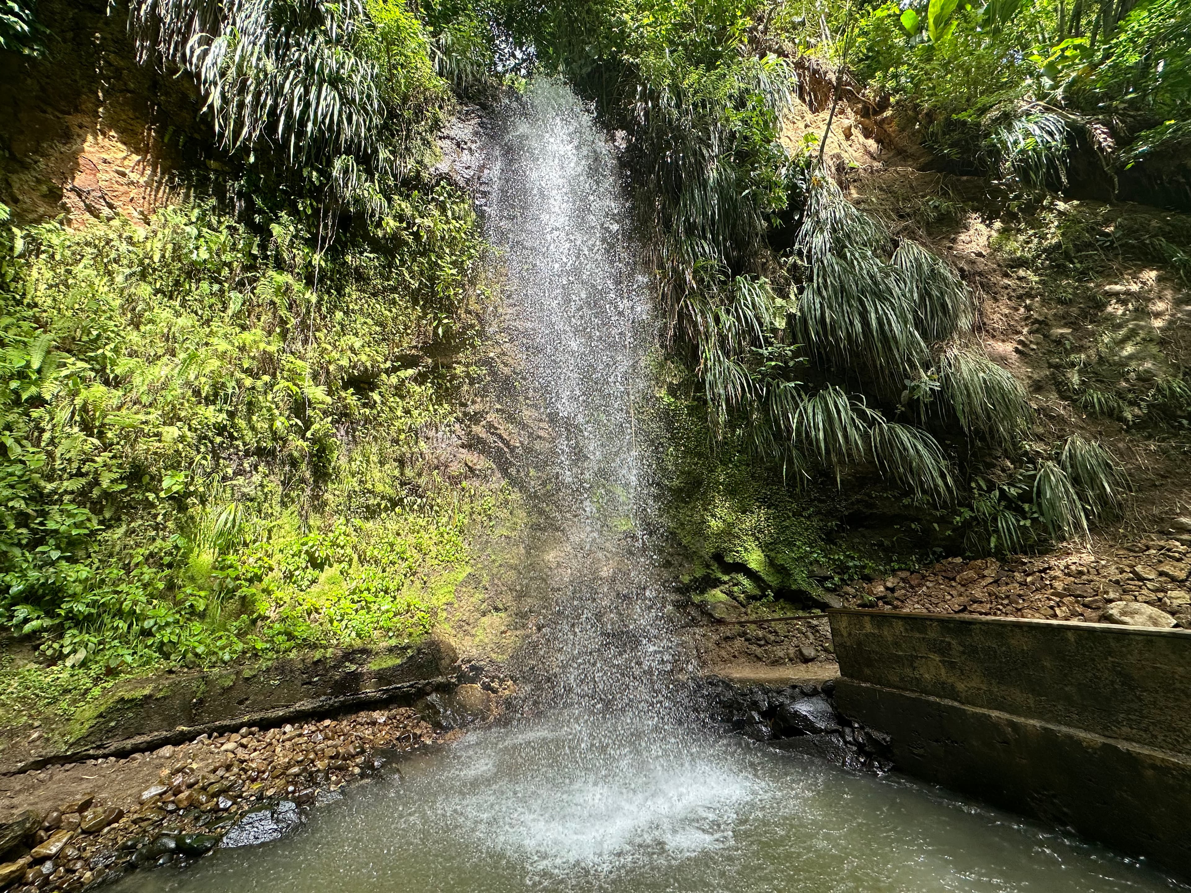 A picture of a beautiful waterfall surrounded by green foliage and rocks