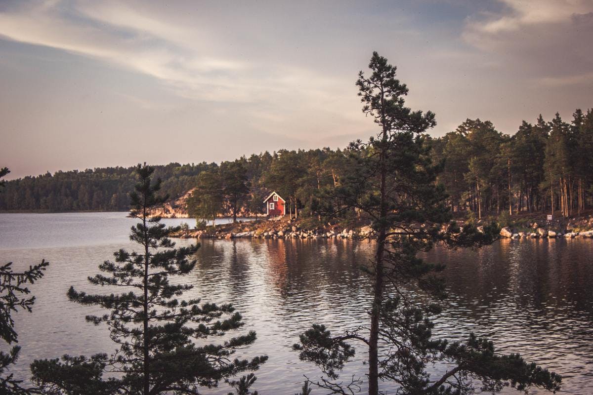 Serene lake surrounded by forest of pine trees in Sweden. 