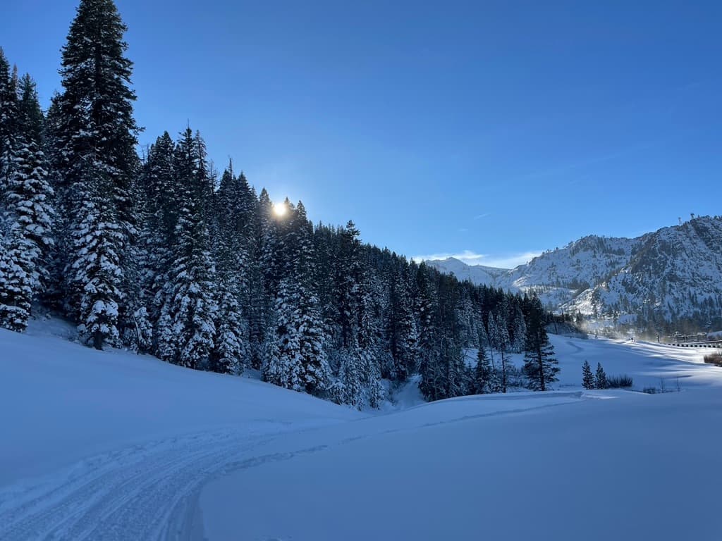 A snow covered valley with trees.