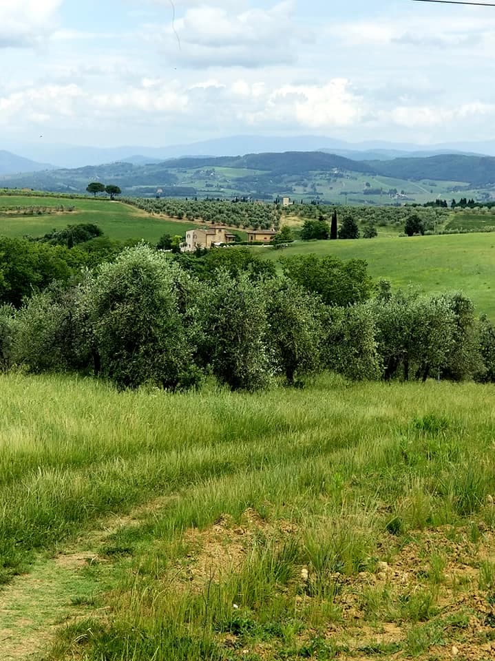 View of a beautiful green field