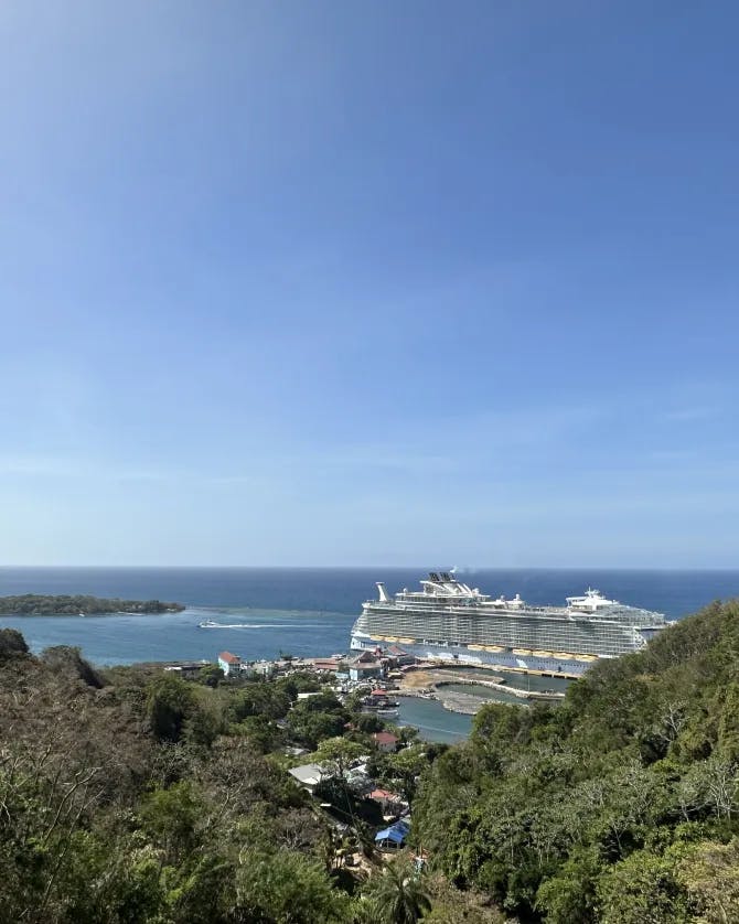 Picture of a Cruise ship at sea in the distance surrounded by green trees and a blue sky