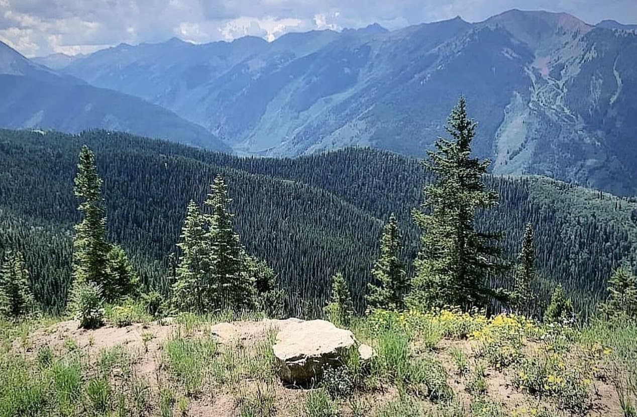 A beautiful view of trees and mountains with a valley of forest below.