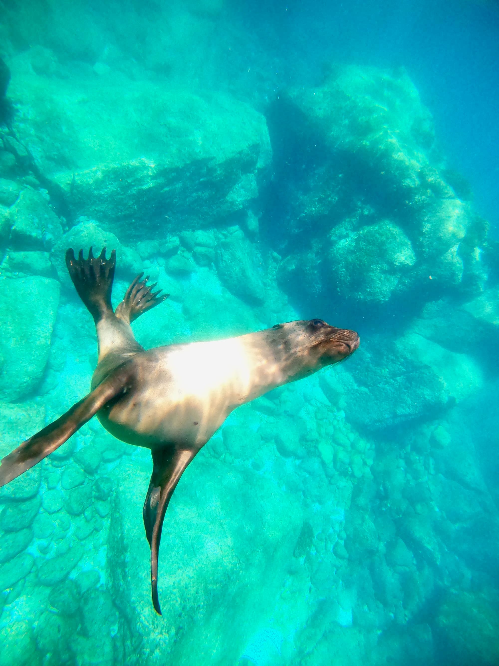 West Coast Weekend Getaways: La Paz, Mexico curated by Monica Reason