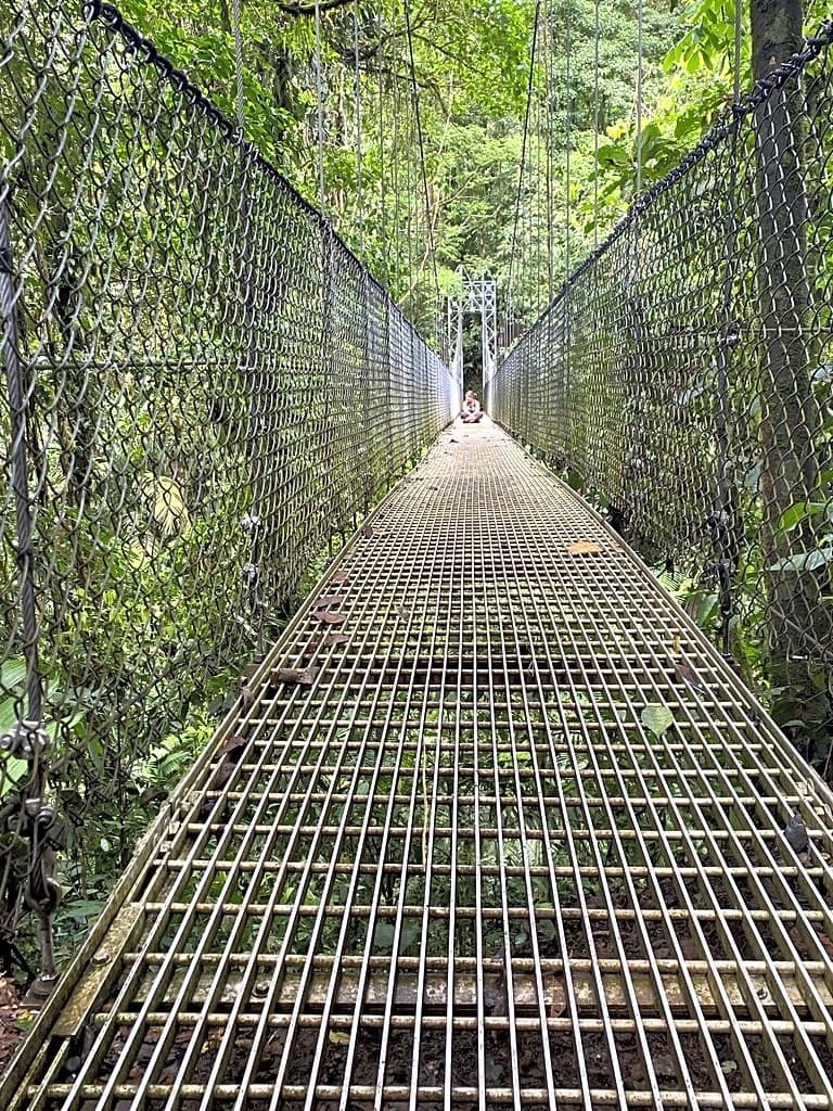 The Ultimate Guide to Costa Rica: San José, La Fortuna and Tamarindo curated by Nairi Hovsepian