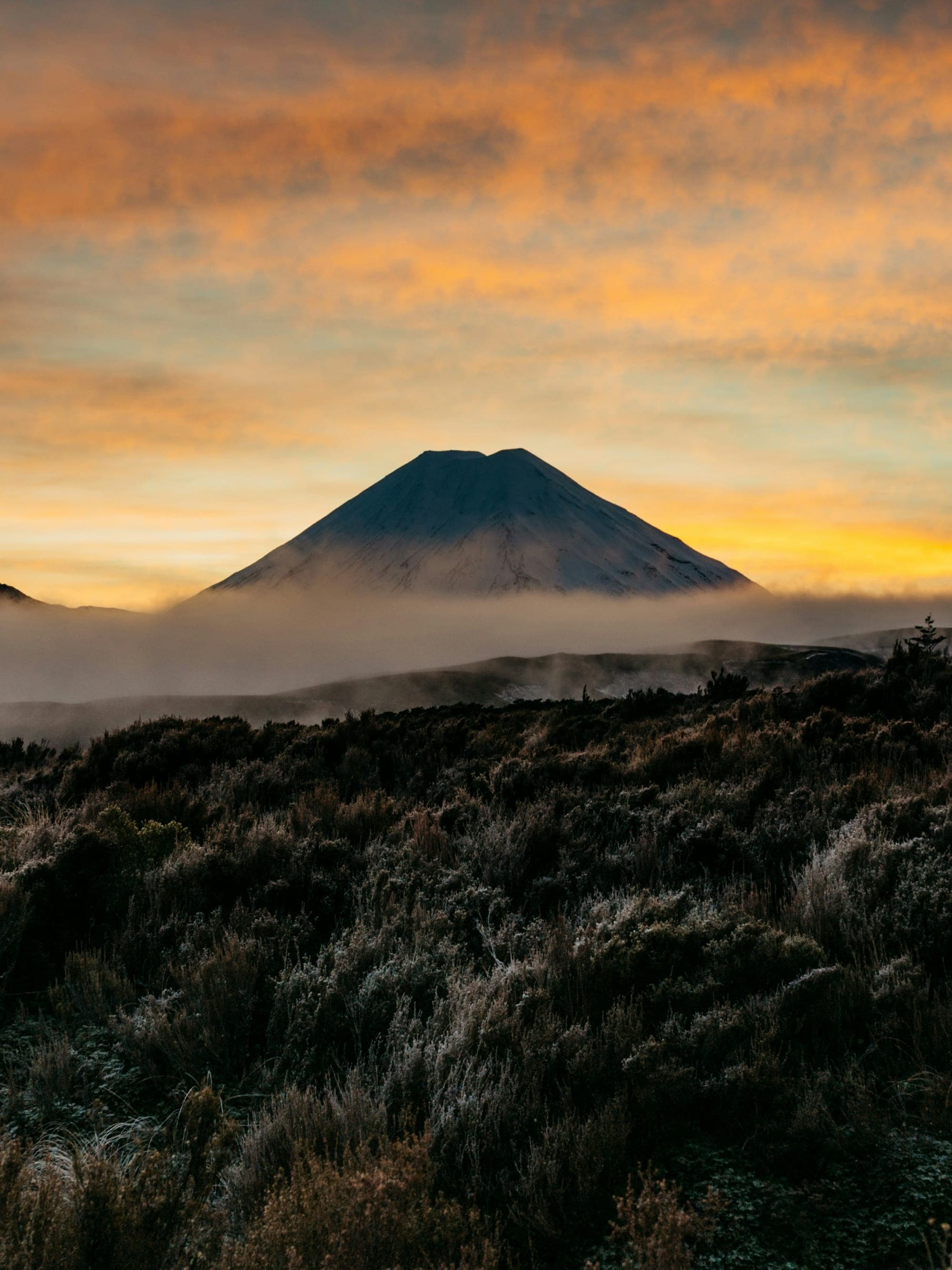 Journey to Middle Earth: A ‘Lord of the Rings’ Adventure in New Zealand curated by Emyli Gudmundson